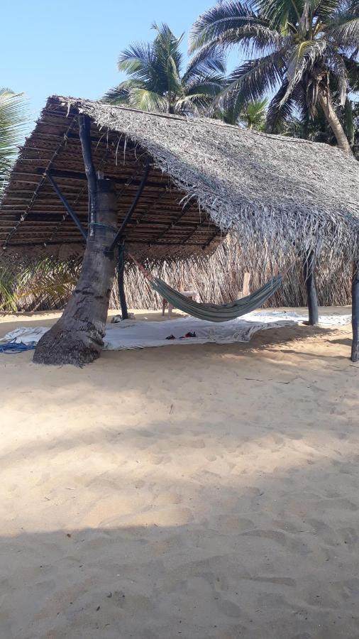 Dolphinchilling Hotel Alankuda Exterior photo